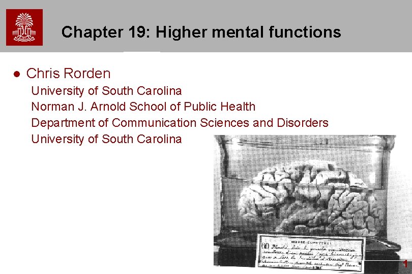 Chapter 19: Higher mental functions l Chris Rorden University of South Carolina Norman J.