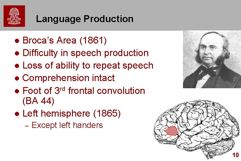 Language Production Broca’s Area (1861) l Difficulty in speech production l Loss of ability