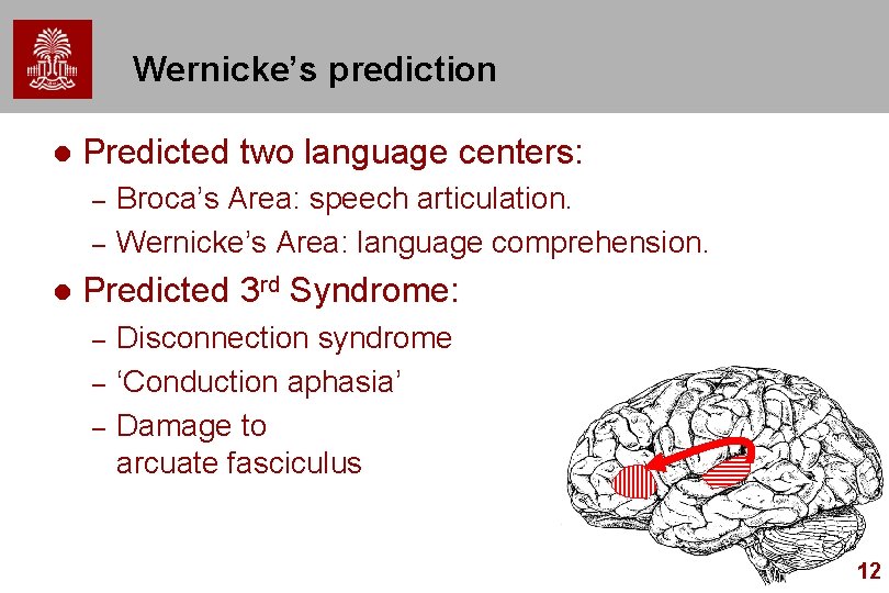 Wernicke’s prediction l Predicted two language centers: – – l Broca’s Area: speech articulation.