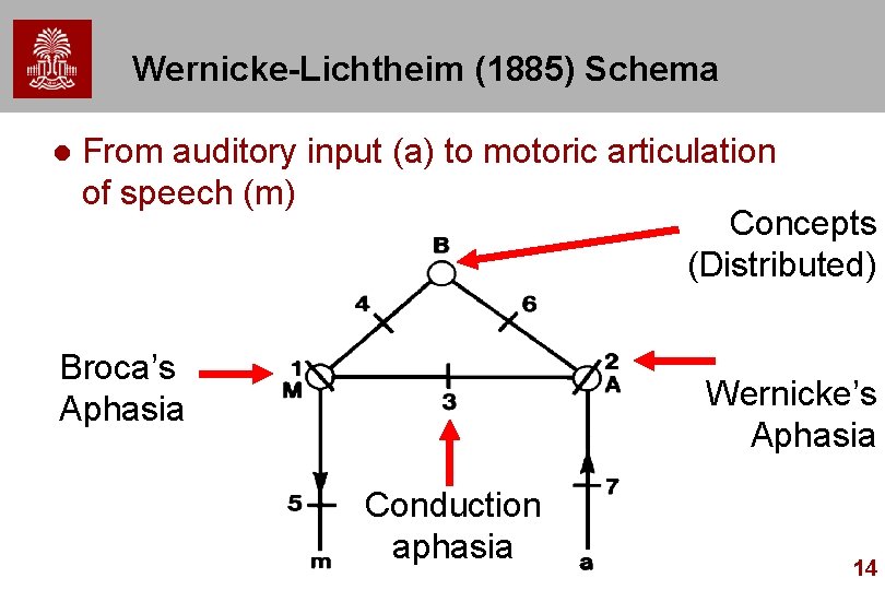 Wernicke-Lichtheim (1885) Schema l From auditory input (a) to motoric articulation of speech (m)