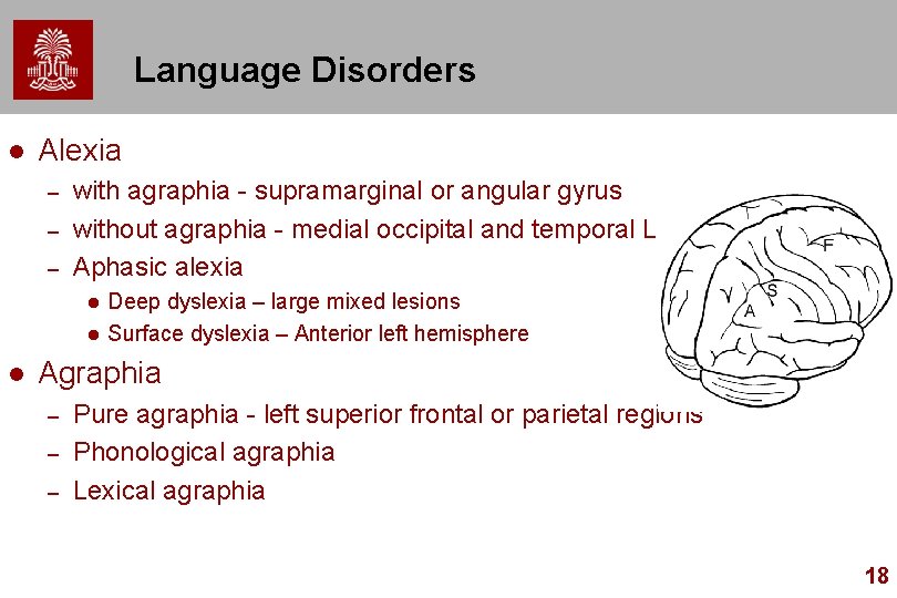 Language Disorders l Alexia – – – with agraphia - supramarginal or angular gyrus