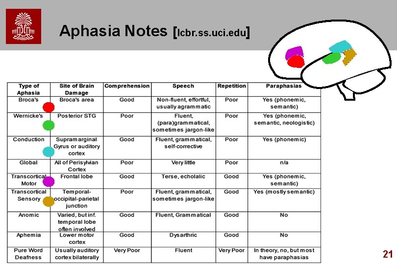  Aphasia Notes [lcbr. ss. uci. edu] 21 