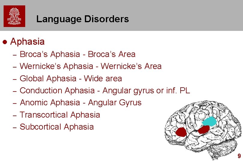 Language Disorders l Aphasia – – – – Broca’s Aphasia - Broca’s Area Wernicke’s