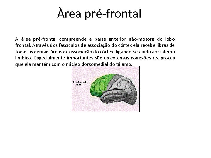 Àrea pré-frontal A área pré-frontal compreende a parte anterior não-motora do lobo frontal. Através