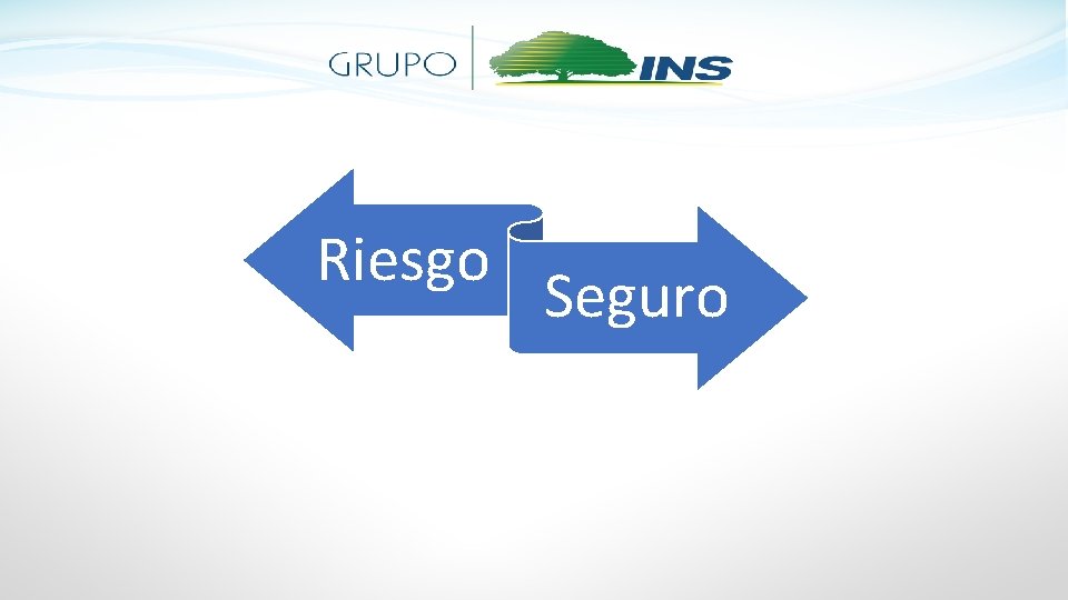 Riesgo Seguro 