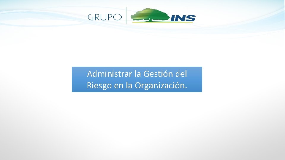 Administrar la Gestión del Riesgo en la Organización. 