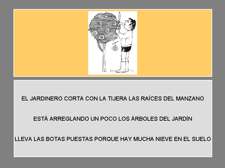 EL JARDINERO CORTA CON LA TIJERA LAS RAÍCES DEL MANZANO ESTÁ ARREGLANDO UN POCO EL JARDINERO CORTA CON LA TIJERA LAS RAÍCES DEL MANZANO ESTÁ ARREGLANDO UN POCO