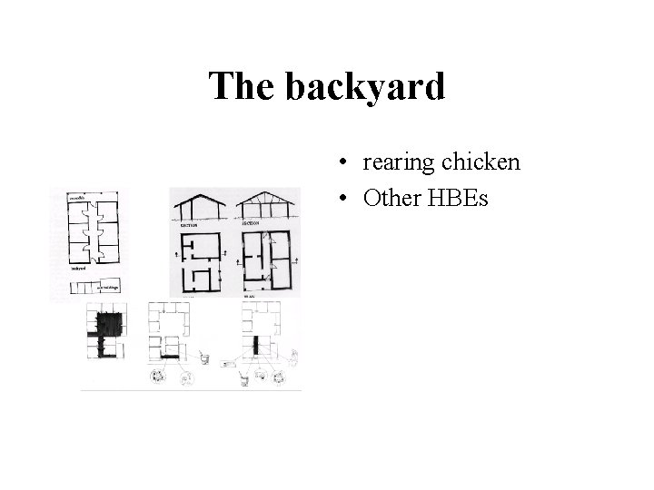 The backyard • rearing chicken • Other HBEs 