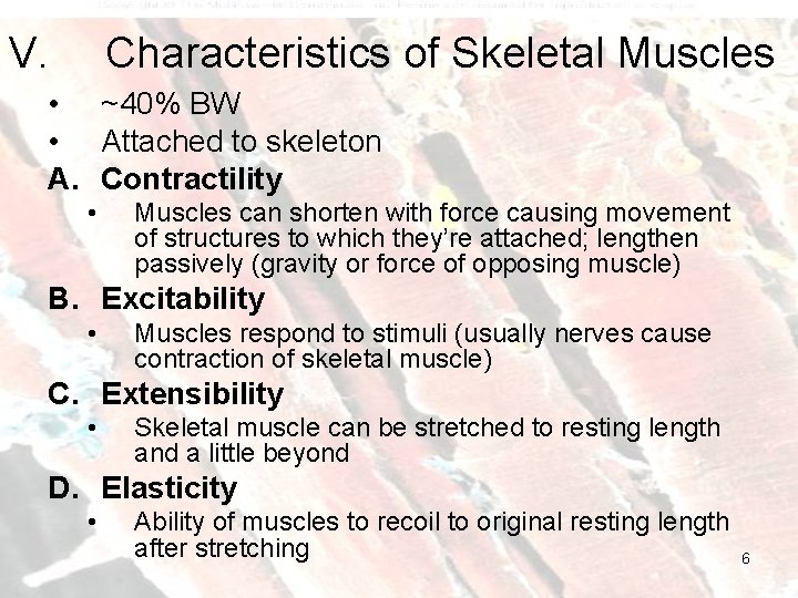 V. Characteristics of Skeletal Muscles • ~40% BW • Attached to skeleton A. Contractility