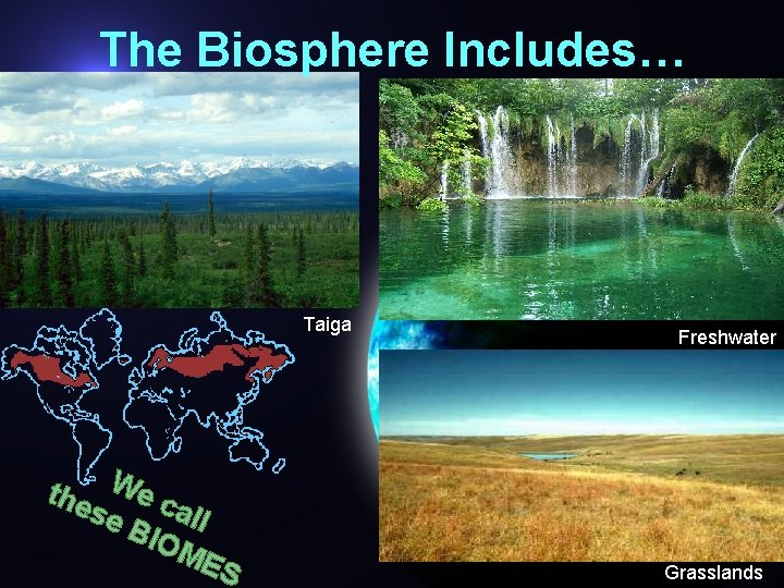 The Biosphere Includes… Taiga the We c all se BIO ME S Freshwater Grasslands