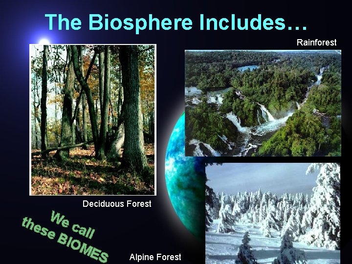 The Biosphere Includes… Rainforest Deciduous Forest the We c all se BIO ME S