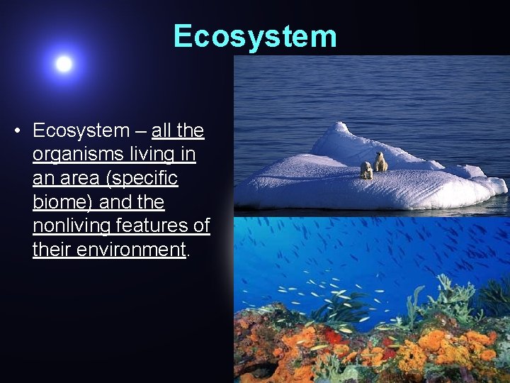 Ecosystem • Ecosystem – all the organisms living in an area (specific biome) and