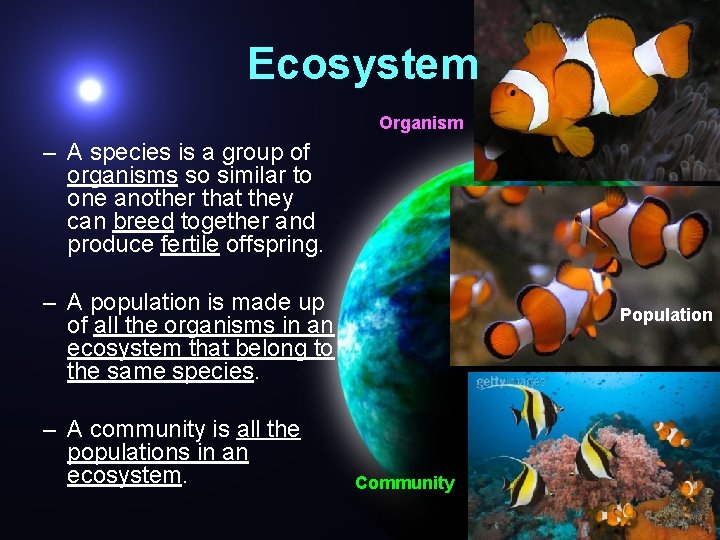 Ecosystem Organism – A species is a group of organisms so similar to one