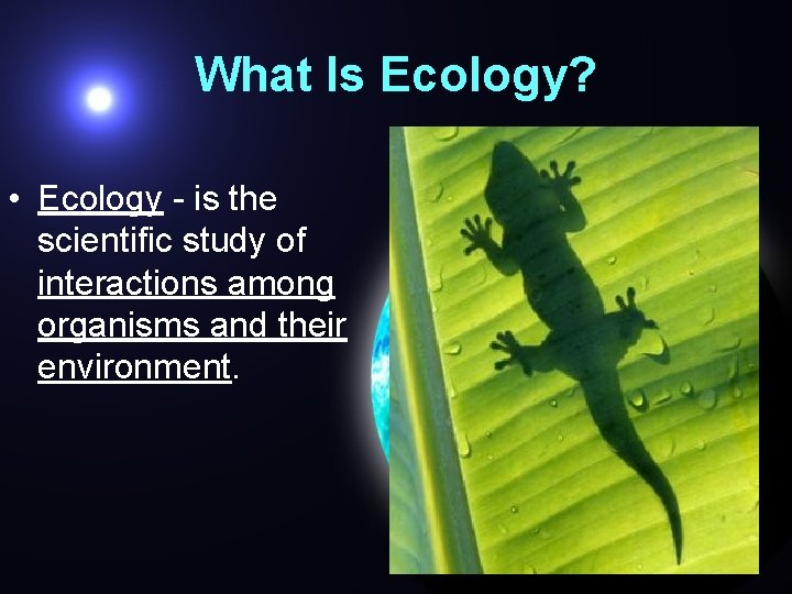 What Is Ecology? • Ecology - is the scientific study of interactions among organisms