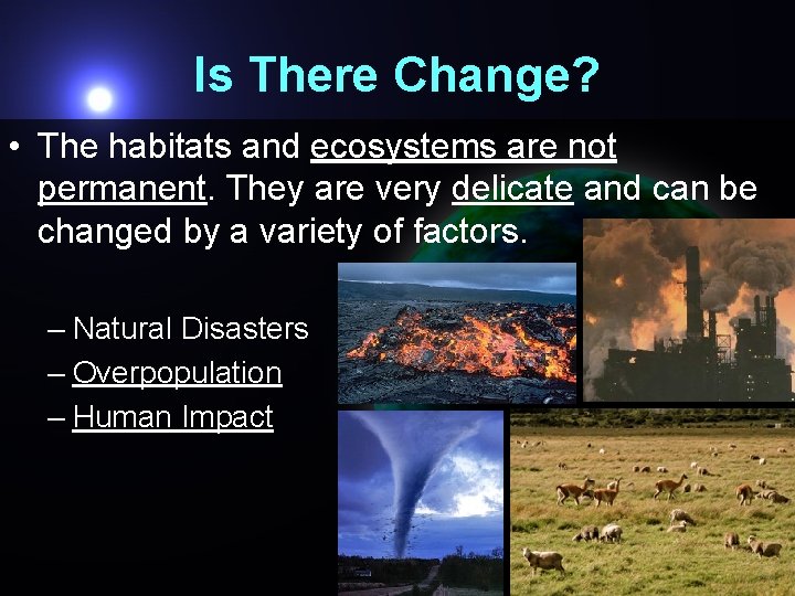 Is There Change? • The habitats and ecosystems are not permanent. They are very