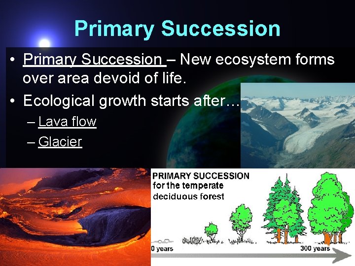 Primary Succession • Primary Succession – New ecosystem forms over area devoid of life.