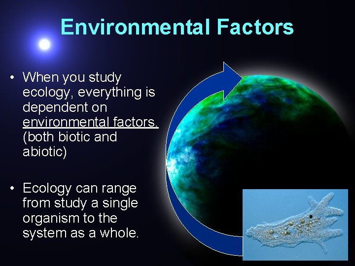 Environmental Factors • When you study ecology, everything is dependent on environmental factors. (both