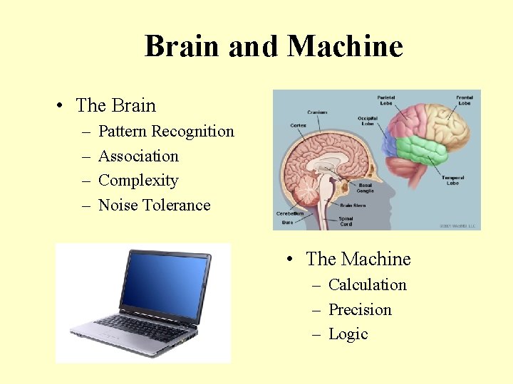 Brain and Machine • The Brain – – Pattern Recognition Association Complexity Noise Tolerance