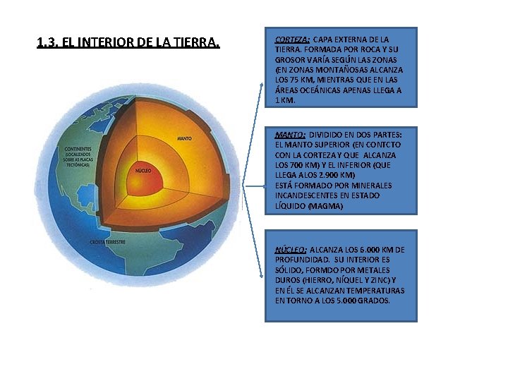 1. 3. EL INTERIOR DE LA TIERRA. CORTEZA: CAPA EXTERNA DE LA TIERRA. FORMADA