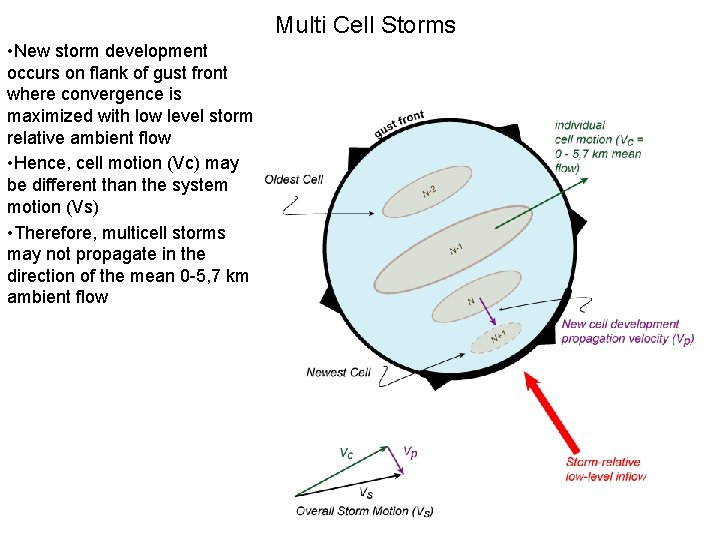 Multi Cell Storms • New storm development occurs on flank of gust front where