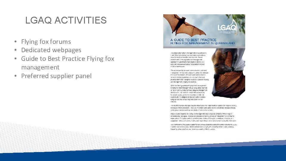 LGAQ ACTIVITIES • Flying fox forums • Dedicated webpages • Guide to Best Practice