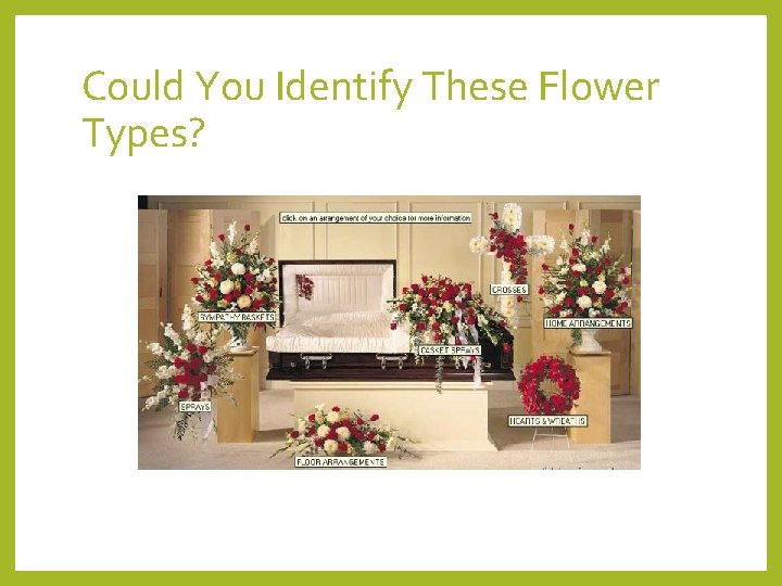 Could You Identify These Flower Types? 