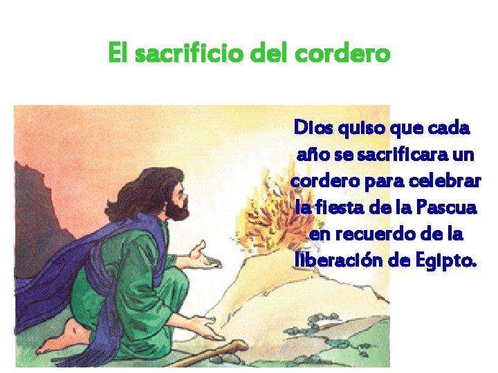 El sacrificio del cordero Dios quiso que cada año se sacrificara un cordero para