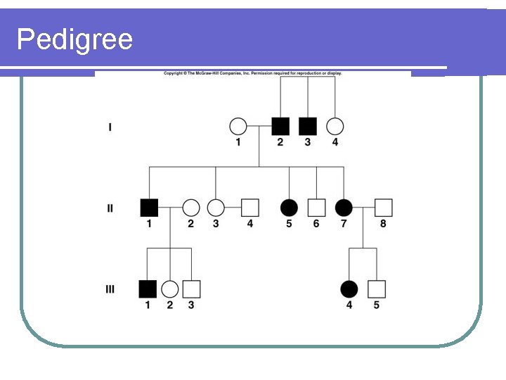 Pedigree Pedigree