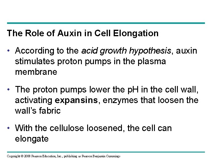 The Role of Auxin in Cell Elongation • According to the acid growth hypothesis, The Role of Auxin in Cell Elongation • According to the acid growth hypothesis,