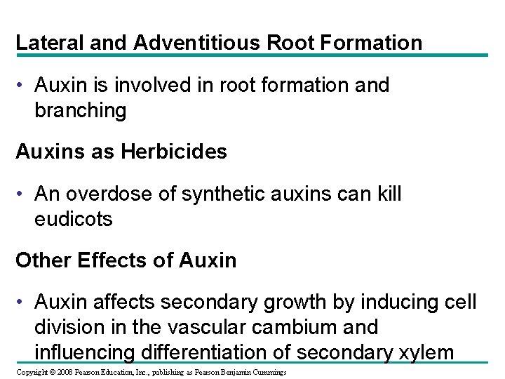 Lateral and Adventitious Root Formation • Auxin is involved in root formation and branching Lateral and Adventitious Root Formation • Auxin is involved in root formation and branching