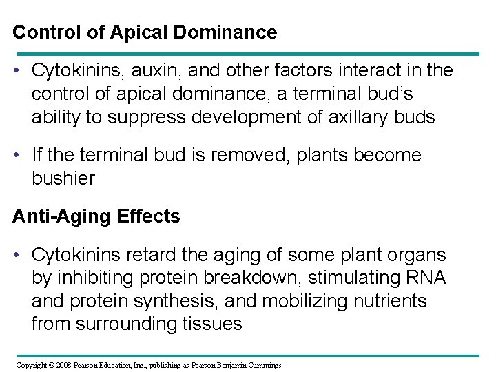 Control of Apical Dominance • Cytokinins, auxin, and other factors interact in the control Control of Apical Dominance • Cytokinins, auxin, and other factors interact in the control