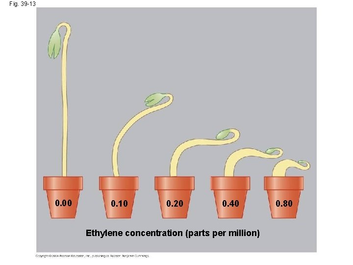 Fig. 39 -13 0. 00 0. 10 0. 20 0. 40 Ethylene concentration (parts Fig. 39 -13 0. 00 0. 10 0. 20 0. 40 Ethylene concentration (parts