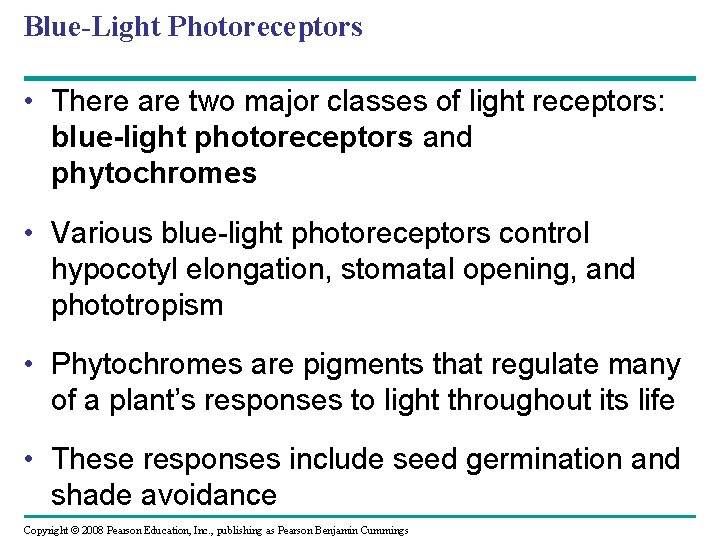 Blue-Light Photoreceptors • There are two major classes of light receptors: blue-light photoreceptors and Blue-Light Photoreceptors • There are two major classes of light receptors: blue-light photoreceptors and