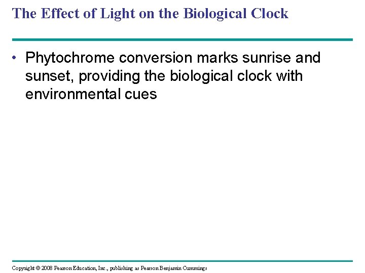 The Effect of Light on the Biological Clock • Phytochrome conversion marks sunrise and The Effect of Light on the Biological Clock • Phytochrome conversion marks sunrise and