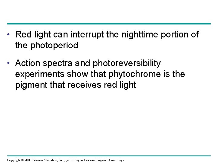 • Red light can interrupt the nighttime portion of the photoperiod • Action • Red light can interrupt the nighttime portion of the photoperiod • Action