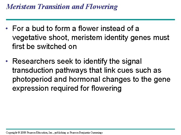 Meristem Transition and Flowering • For a bud to form a flower instead of Meristem Transition and Flowering • For a bud to form a flower instead of