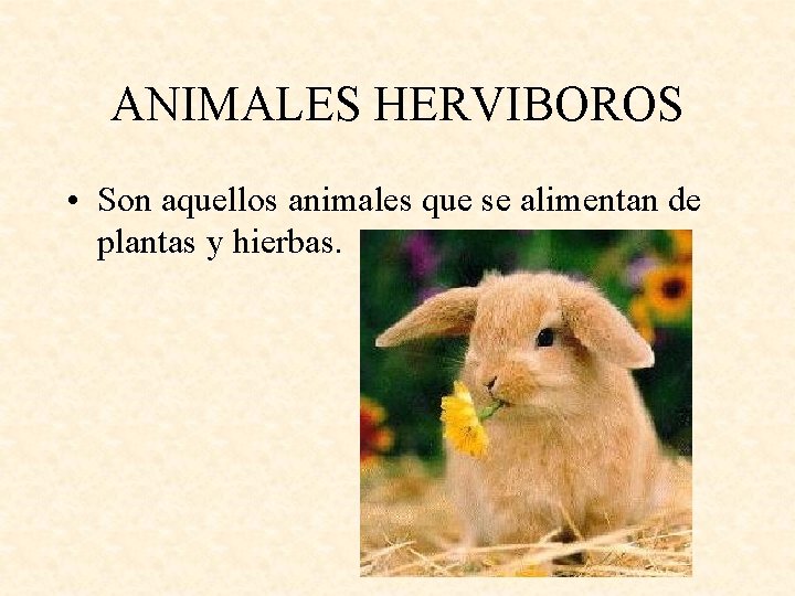 ANIMALES HERVIBOROS • Son aquellos animales que se alimentan de plantas y hierbas. 