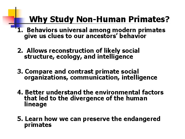 Why Study Non-Human Primates? 1. Behaviors universal among modern primates give us clues to Why Study Non-Human Primates? 1. Behaviors universal among modern primates give us clues to