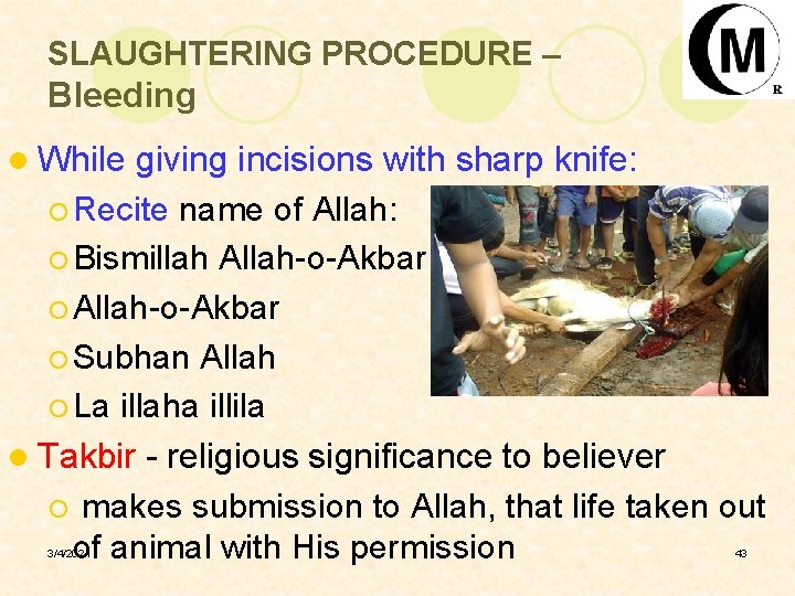 SLAUGHTERING PROCEDURE – Bleeding l While giving incisions with sharp knife: ¡ Recite name