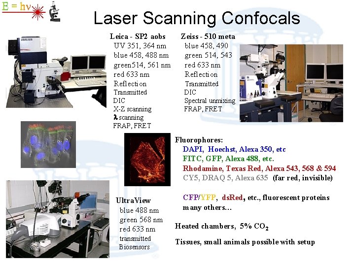 Laser Scanning Confocals Leica - SP 2 aobs UV 351, 364 nm blue 458,