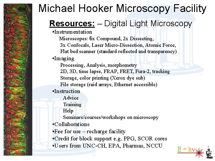 Michael Hooker Microscopy Facility Resources: – Digital Light Microscopy • Instrumentation Microscopes: 6 x