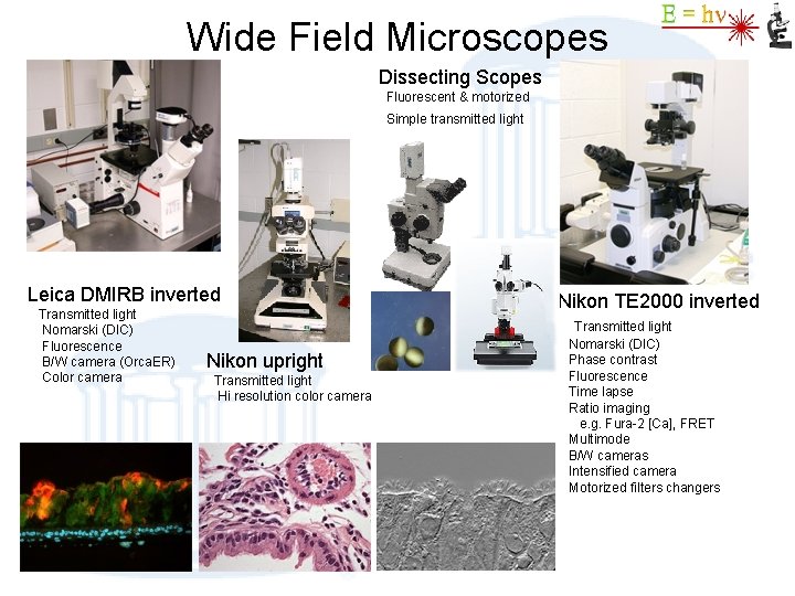 Wide Field Microscopes Dissecting Scopes Fluorescent & motorized Simple transmitted light Leica DMIRB inverted