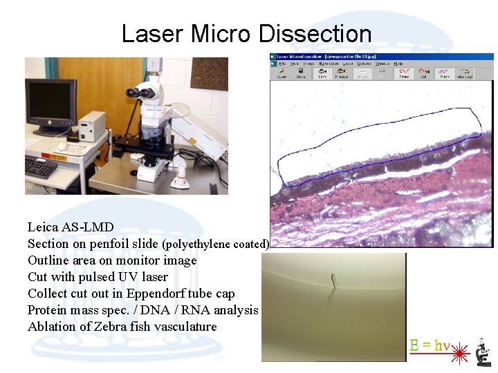 Laser Micro Dissection Leica AS-LMD Section on penfoil slide (polyethylene coated) Outline area on