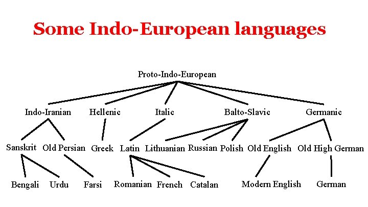 Some Indo-European languages Proto-Indo-European Indo-Iranian Hellenic Italic Balto-Slavic Germanic Sanskrit Old Persian Greek Latin