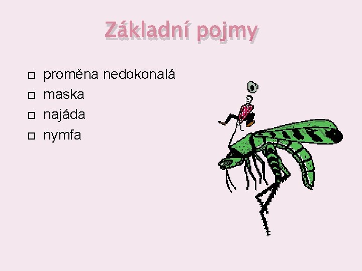 Základní pojmy proměna nedokonalá maska najáda nymfa 