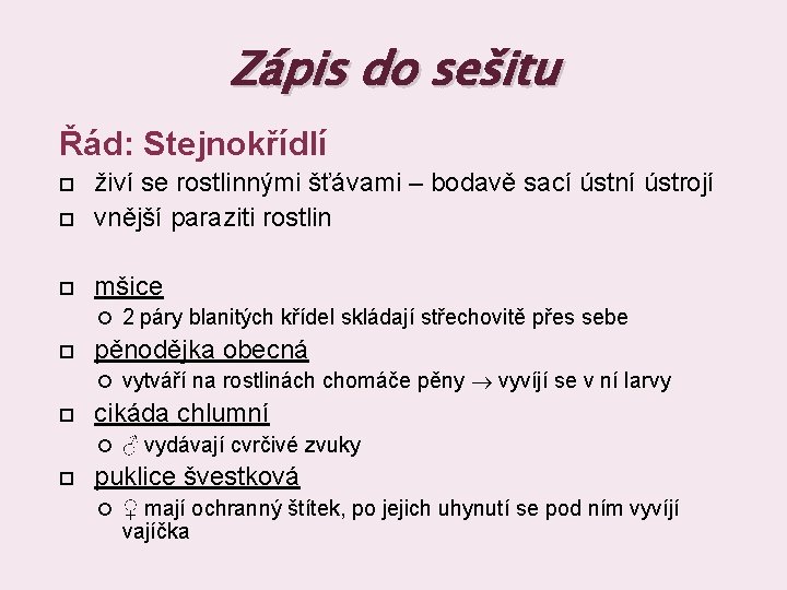 Zápis do sešitu Řád: Stejnokřídlí živí se rostlinnými šťávami – bodavě sací ústní ústrojí Zápis do sešitu Řád: Stejnokřídlí živí se rostlinnými šťávami – bodavě sací ústní ústrojí