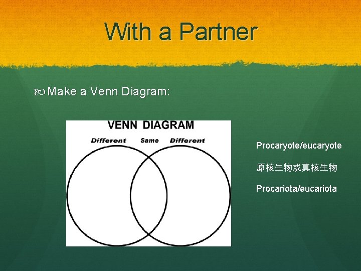 With a Partner Make a Venn Diagram: Procaryote/eucaryote 原核生物或真核生物 Procariota/eucariota 