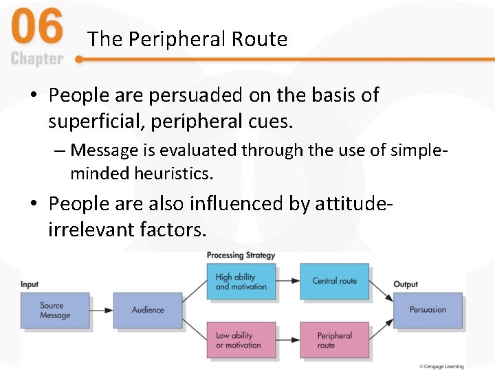 The Peripheral Route • People are persuaded on the basis of superficial, peripheral cues.
