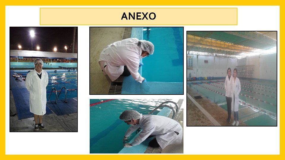 ANEXO 