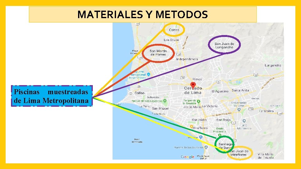 MATERIALES Y METODOS Piscinas muestreadas de Lima Metropolitana 